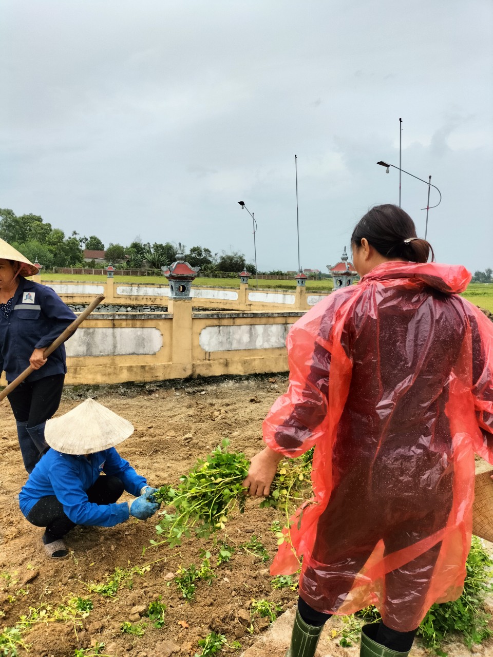 Bản tin NTM tháng 3