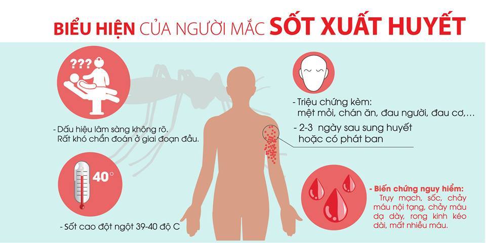 Xuất hiện ca sốt xuất huyết trên địa bàn thôn 7A