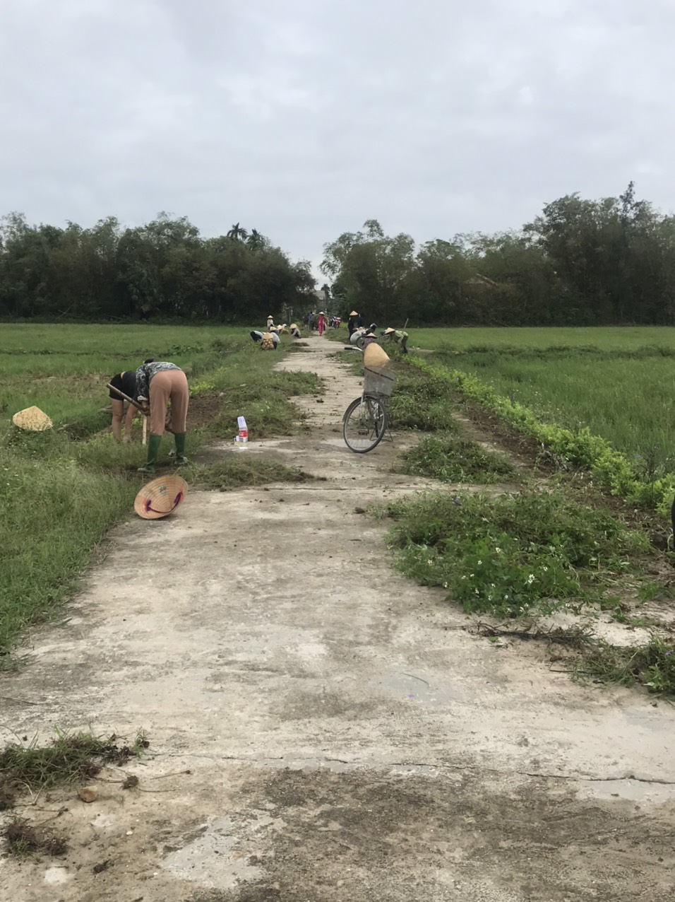 Ra quân cao điểm đón đoàn kiểm tra Nông thôn mới tỉnh